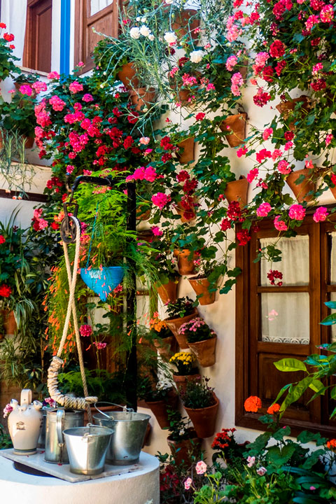 decoración de espacios florales