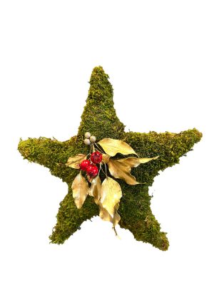 estrella_musgo_1