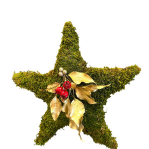 Estrella de musgo