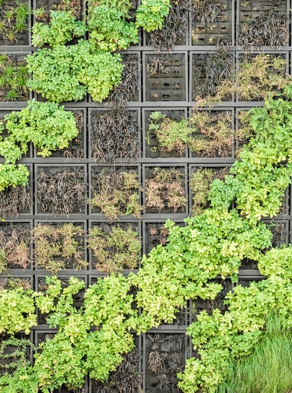 jardin vertical compuesto por plantas aromaticas